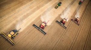 'Tis the season for Tractor Madness