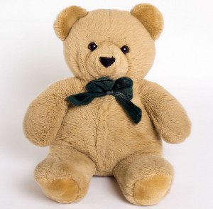 Stuffed Toy Sleepover -  Pick Up Your Teddy!
